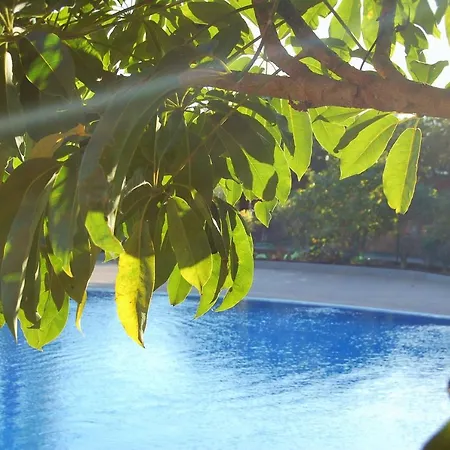 Appartement El Medano. Paradise. *