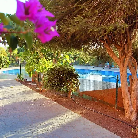 Appartement El Medano. Paradise.
